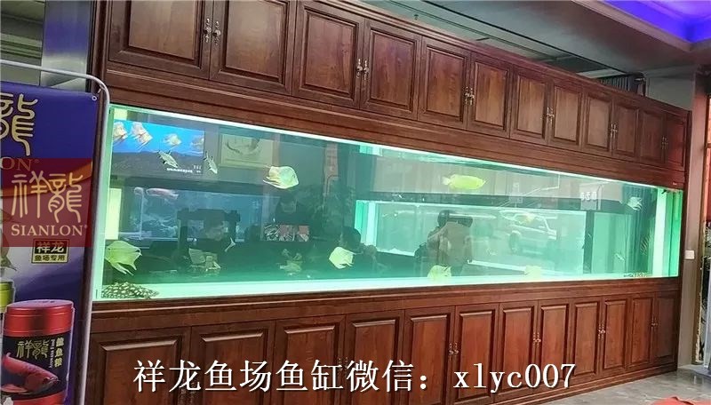 Teluk Intan Large aquarium customized 6M